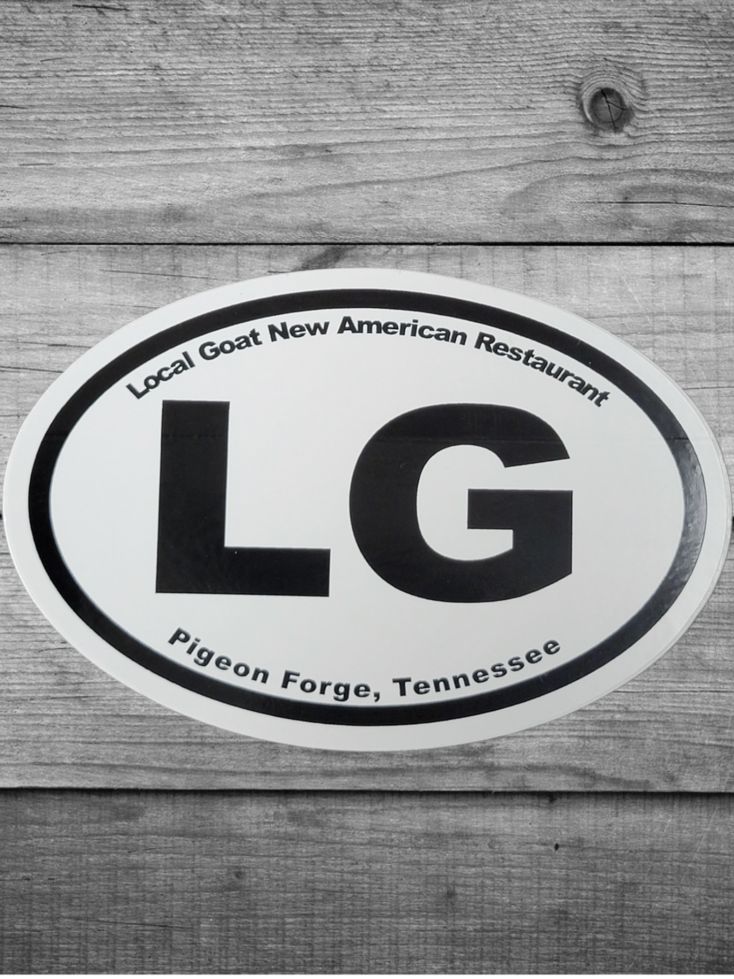 LG Logo Magnet